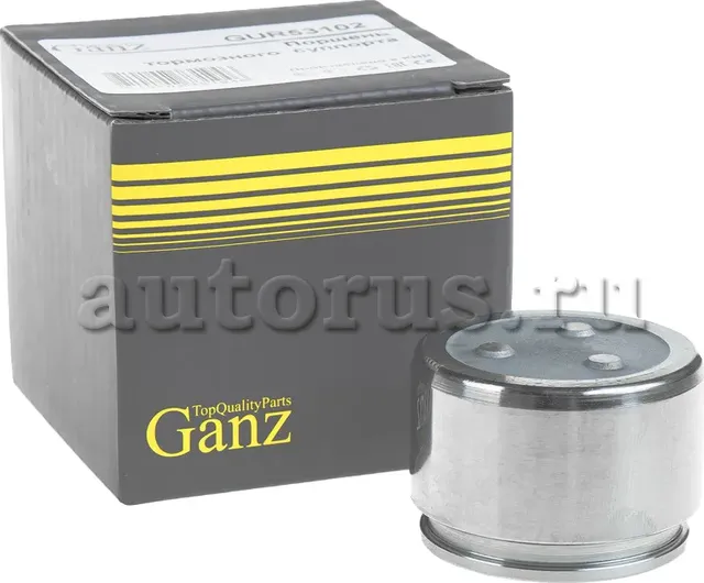 Ремкомплект суппорта (Ganz). Артикул GUR53102