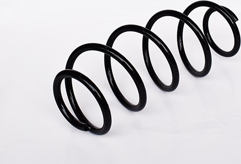 Пружина подвески ASAM передняя для Ford Mondeo III 2000-2007. Артикул 73804