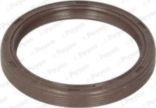 Уплотняющее кольцо, распределительный вал Payen (FPM (Fluor-Kautschuk)). Артикул NA5310