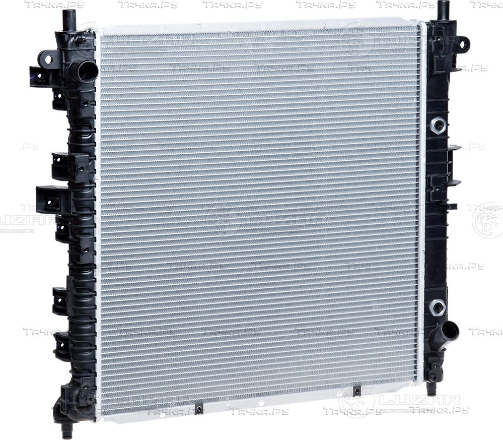 Аққұба қара әтешті сорады