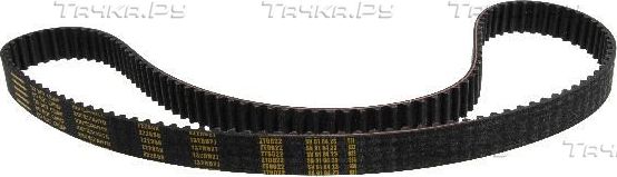 Ремень ГРМ Zentparts для Renault Clio III 2005-2014. Артикул Z22858
