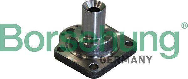 Ступица колеса Borsehung. Артикул B11291