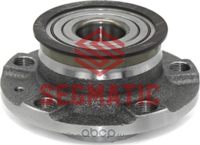 SGWH30204039 Ступица колеса в сборе задняя SKODA FABIARAPID,VW Polo V Sedan 2010 (Segmatic). Артикул SGWH30204039