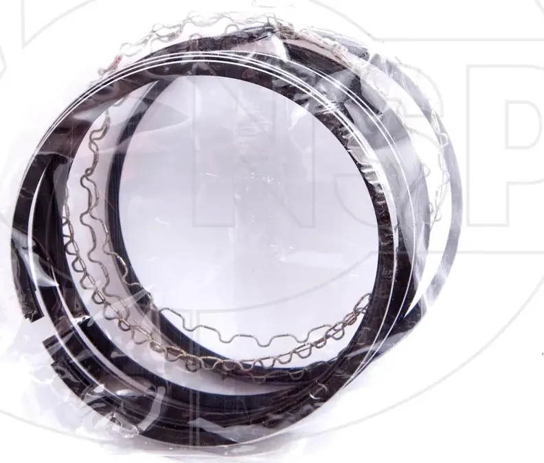 Кольца поршневые, комплект (NSP). Артикул NSP0193742294