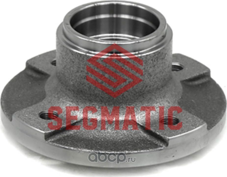 Ступица колеса (Segmatic). Артикул SGWH30204057