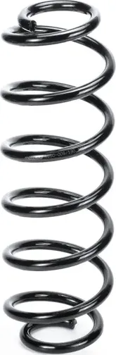 Пружина задняя (Metaco). Артикул 4850009