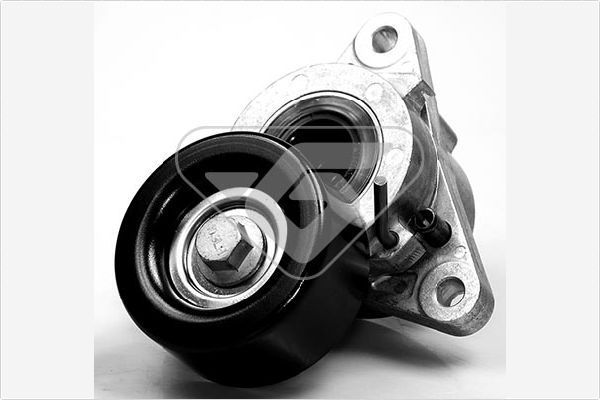 Натяжной ролик (натяжитель) приводного поликлинового ремня Hutchinson. Артикул T0058