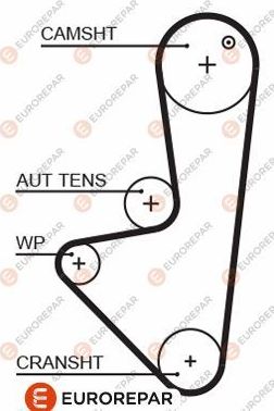 Ремень ГРМ Eurorepar для Citroen Xsara 1997-2005. Артикул 1633126680