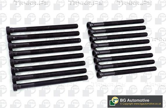 Комплект болтов ГБЦ BGA для Audi A6 allroad II (C6) 2006-2011. Артикул BK3369