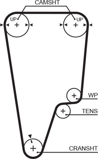 Ремень ГРМ Gates PowerGrip® для Honda Integra III 1997-2001. Артикул 5506XS