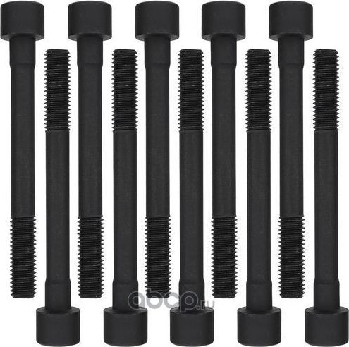 Комплект болтов ГБЦ (Zikmar). Артикул Z16573R