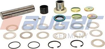 Ремкомплект шкворня поворотного кулака  Auger. Артикул 79809