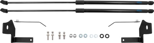 Амортизаторы (упоры) капота Arbori для Changan CS55 2017-2026. Артикул ARBORI.HD.050102