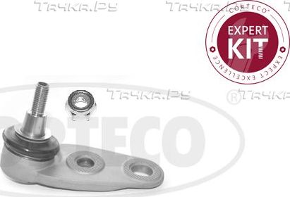 Шаровая опора Corteco передняя правая внешняя для MINI Coupe R58 2010-2015. Артикул 49399748