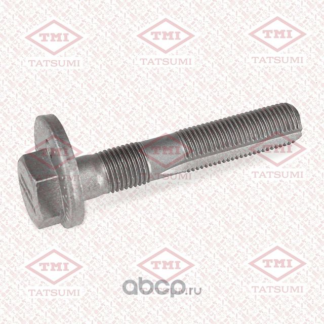 БОЛТ-ЭКСЦЕНТРИК (Tatsumi). Артикул TJA1028 