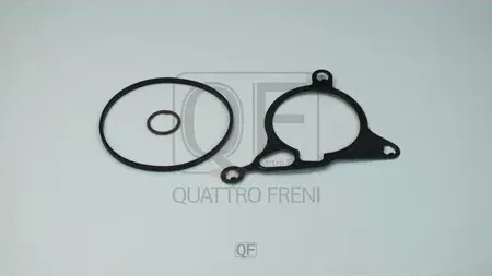 РЕМКОМПЛЕКТ ВАКУУМНОГО НАСОСА (Quattro Freni). Артикул QF34F00015