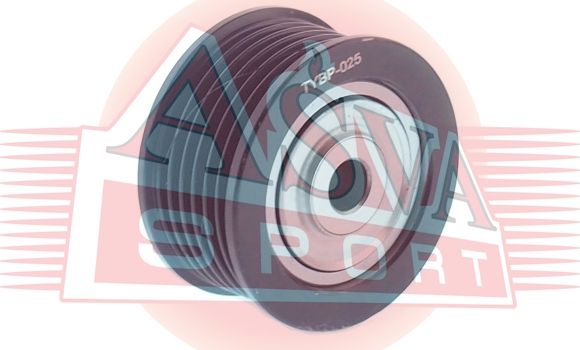 Натяжной ролик (натяжитель) приводного клинового ремня Asva. Артикул TYBP-025