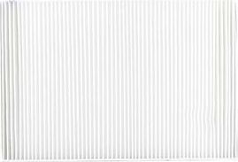 Салонный фильтр BSG. Артикул BSG 60-145-001