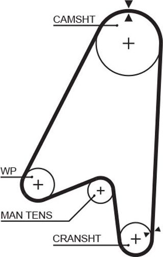 Ремень ГРМ Gates (Полихлоропрен (неопрен)). Артикул 5239
