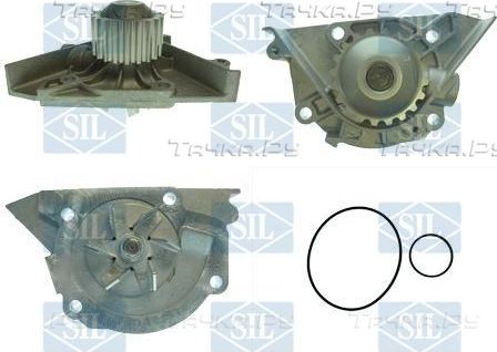 Помпа (водяной насос) Saleri/SIL для Fiat Ulysse II 2002-2011. Артикул PA1437
