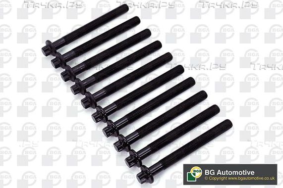 Комплект болтов ГБЦ BGA для Renault Laguna III 2007-2015. Артикул BK4304