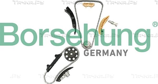 Цепь ГРМ Borsehung для Volkswagen Sharan I 2000-2010. Артикул B18846
