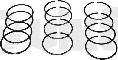 Поршневые кольца Vika для Volkswagen Lupo 1998-2005. Артикул 11980015901