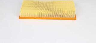 Воздушный фильтр BSG. Артикул BSG 15-135-015