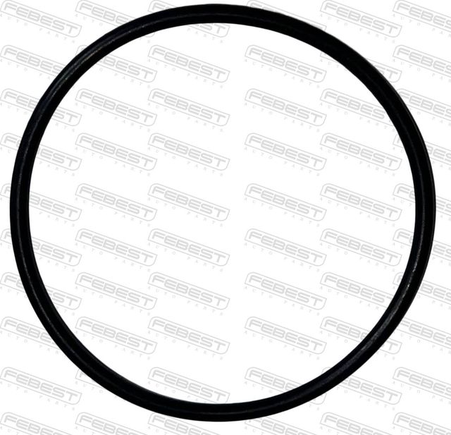 КОЛЬЦО УПЛОТНИТЕЛЬНОЕ ВАКУУМНОГО НАСОСА 55X2.62 Febest. Артикул 19400-002