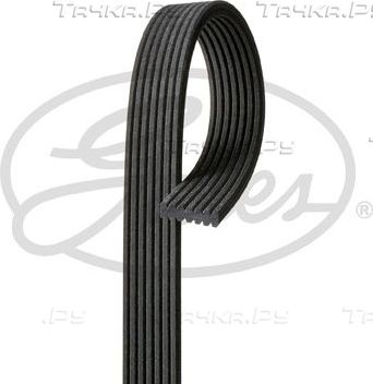 Приводной ремень поликлиновой Gates Micro-V® для BMW 5 VI (F10/F11/F07) 2009-2012. Артикул 7DPK1880