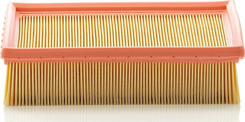 Воздушный фильтр Mann-Filter. Артикул C 24 105