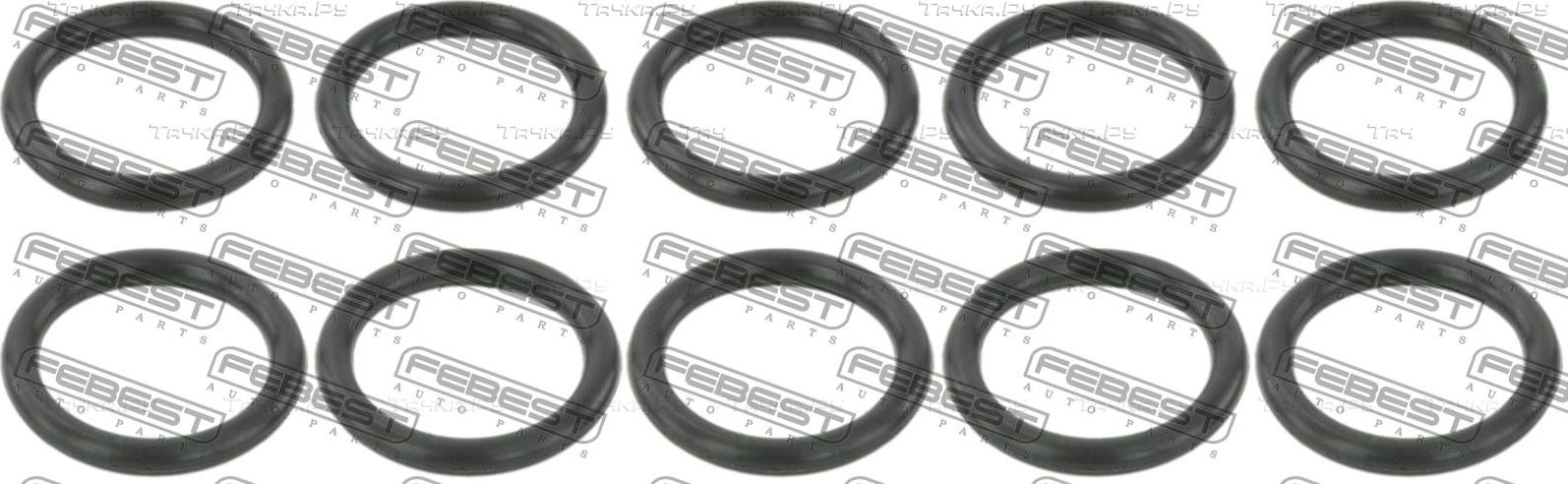 Кольцо форсунки уплотнительное Febest для Nissan Navara D22 2001-2007. Артикул RINGFL-023-PCS10