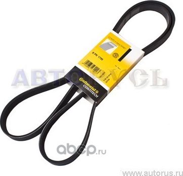 Ремень поликлиновой 6 PK 1795 MV Continental (VDO). Артикул 6PK1795