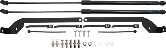 Амортизаторы (упоры) капота Arbori для Changan UNI-T 2022-2026. Артикул ARBORI.HD.050104