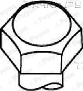 Комплект болтов ГБЦ Payen для Rover 600 1994-1998. Артикул HBS305