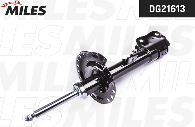 Амортизатор Miles. Артикул DG21613