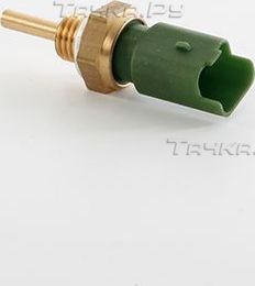 Датчик температуры охлаждающей жидкости BSG. Артикул BSG 25-840-007