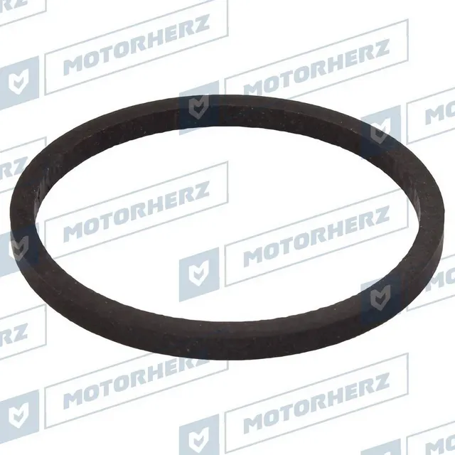 Кольцо уплотнительное (Motorherz). Артикул HT0014