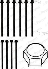 Комплект болтов ГБЦ Payen для Chrysler Neon I 1994-1999. Артикул HBS279