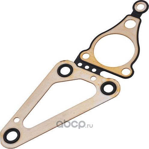 ПРОКЛАДКА КРЫШКИ ГРМ FORD TRANSIT, TRANSIT TOURNEO 2.2 TDCI 16V 11 (Zikmar). Артикул Z19810R