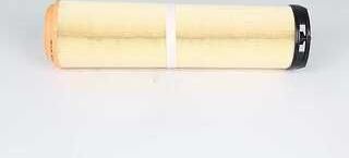 Воздушный фильтр BSG. Артикул BSG 65-135-035