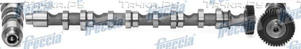 Распредвал Freccia для Audi A6 IV (C7) 2011-2018. Артикул CM05-2196