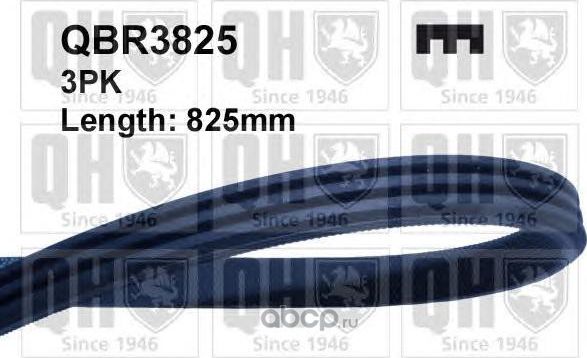 Ремень приводной (QH). Артикул QBR3825