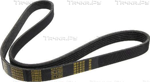 Приводной ремень поликлиновой Zentparts для Ford Focus III 2010-2019. Артикул Z22774