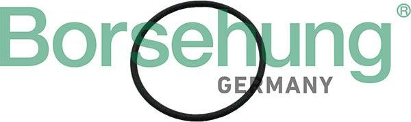 Уплотнительное кольцо клапана распредвала Borsehung. Артикул B12926