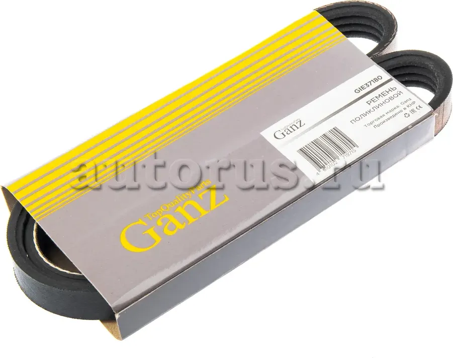 Ремень поликлиновой (Ganz). Артикул GIE37180