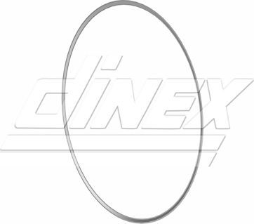 Прокладка глушителя Dinex для MAN TGX 2006-2026. Артикул 4IL005