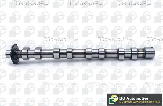 Распредвал BGA для Volvo C70 II 2008-2009. Артикул CS5523