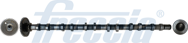 Распредвал Freccia для BMW X3 II (F25) 2011-2017. Артикул CM05-2355