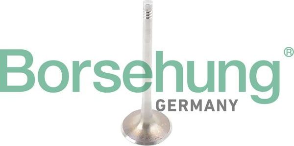 Поршневые кольца Borsehung для Audi S5 II (F5) 2016-2026. Артикул B10341